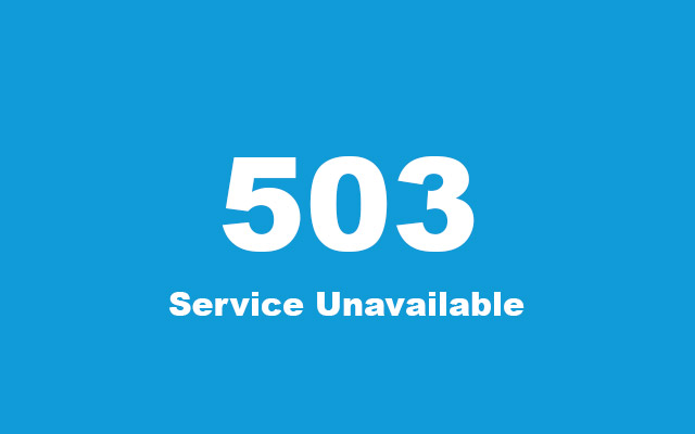503 http error code